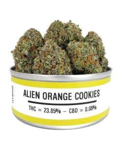 Alien Orange Cookies