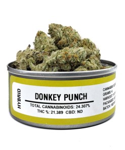 Space Monkey Donkey Punch