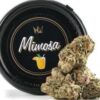 West Coast Cure Mimosa