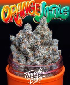 Jungle Boys Orange Mints